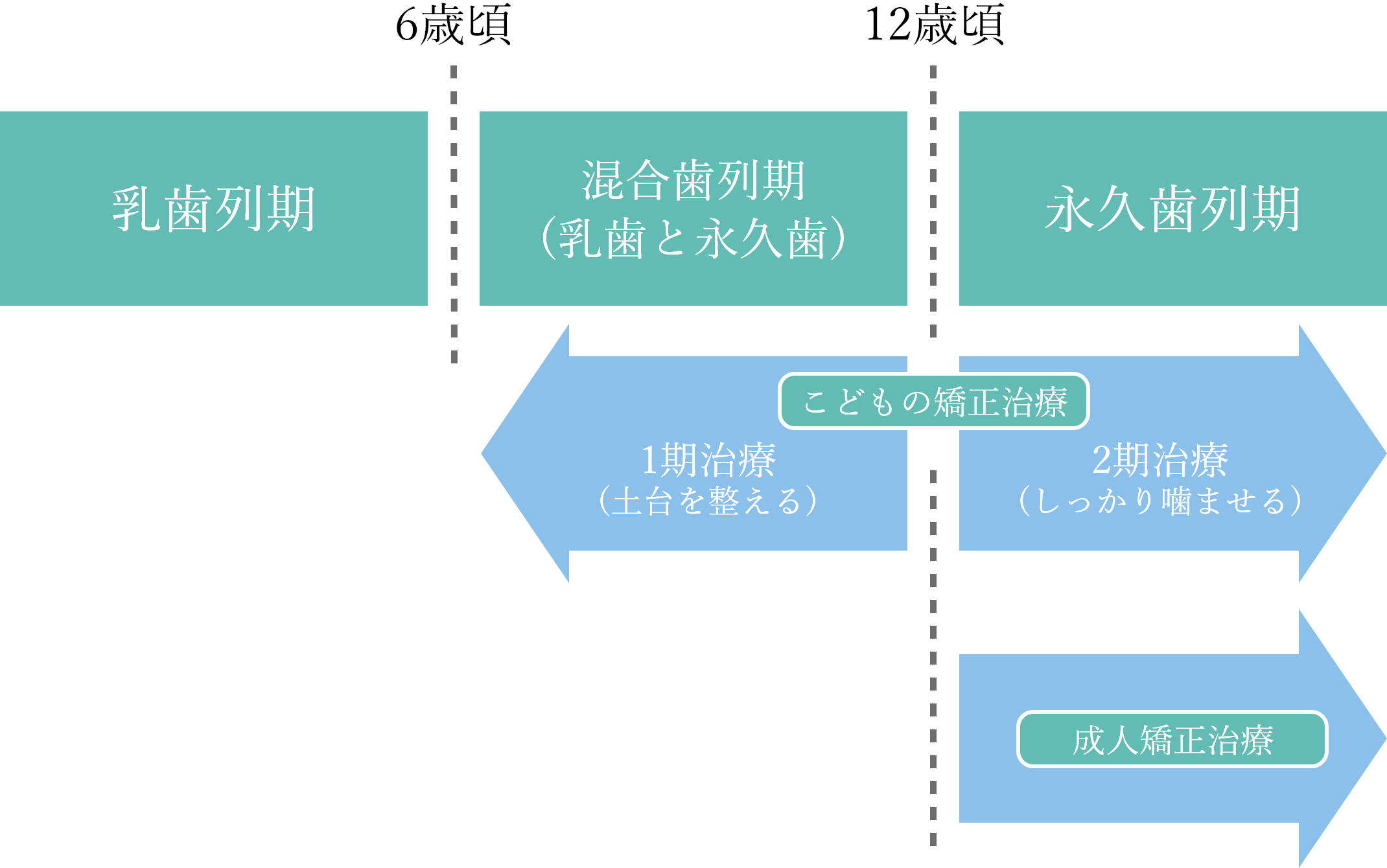 矯正治療までの流れ